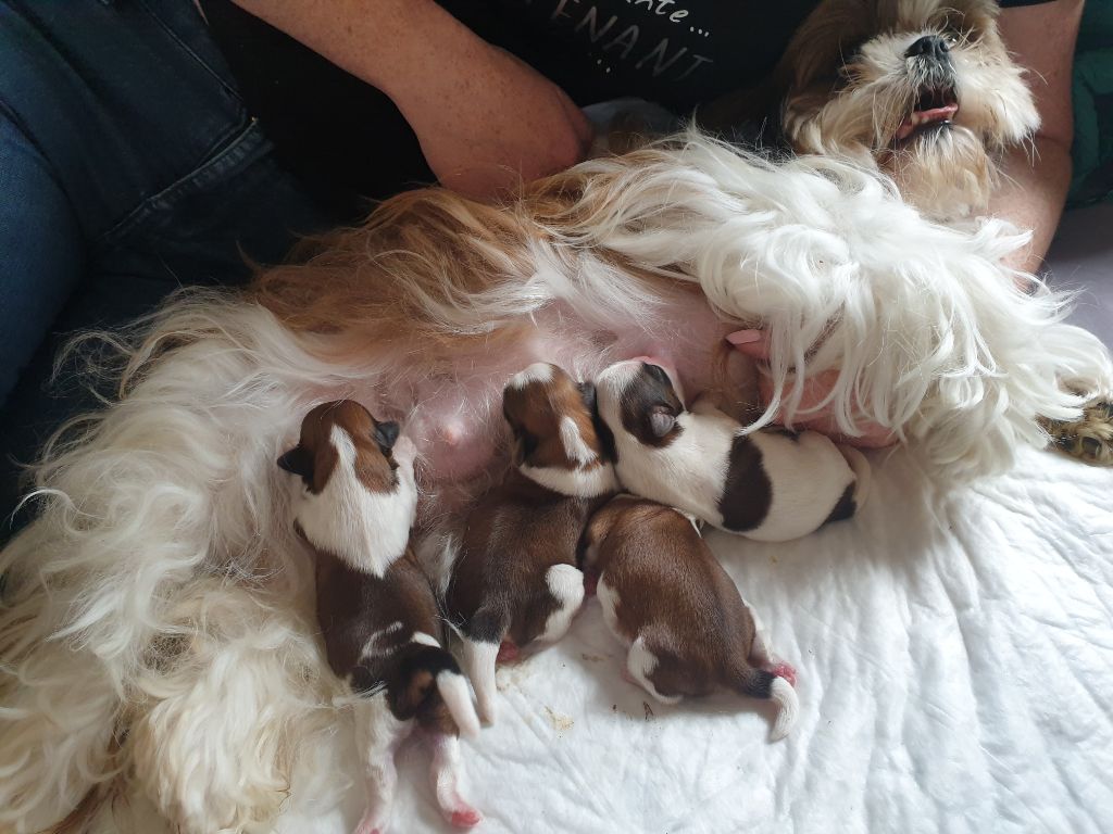 4 bébés sont arrivés 